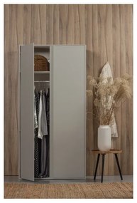 Világosszürke borovi fenyő ruhásszekrény 100x200 cm Maevy – WOOOD