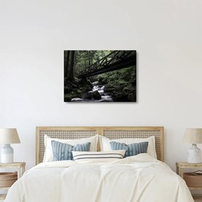 Fekete erdő képe (70x50 cm)