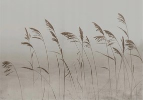 Fotótapéta Flizelin Fal a Hálószobába Fű a köd között 312x219 Ragasztó