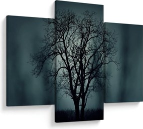 Kép egy fáról napfogyatkozáskor (90x60 cm)