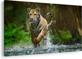 Futó tigris képe (90x60 cm)