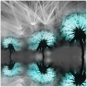 Poszterek 100x100 Türkiz pitypangok Víz