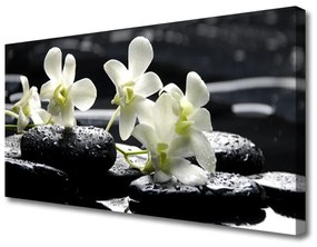 Vászonkép nyomtatás Stones orchidea növény 120x60 cm