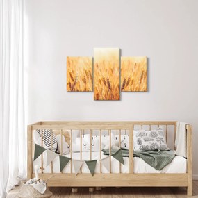Kép - mező gabonával (90x60 cm)
