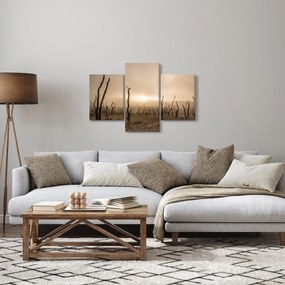 Kép - Csupasz fák (90x60 cm)