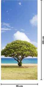 Fotótapéta ajtóra - Strand fával (95x205cm)