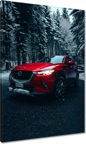 Vászonkép 70x100 Piros Mazda Autó