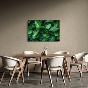 Kép - Zöld levelek (90x60 cm)