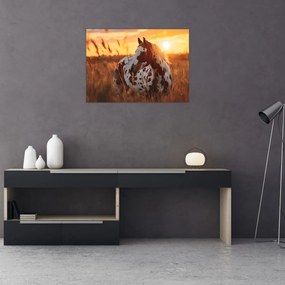 Kép - Ló naplementében (70x50 cm)