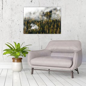 Egy erdő képe a felhők között (üvegen) (70x50 cm)