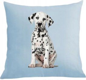 Párna párnahuzat Dalmata Cuki Kutya