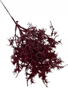 Szárított fű ág 28 cm bordó