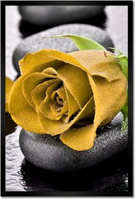 Poszterek keretben 40x60 Sárga rózsa köveken
