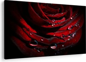 Kép - Rózsa részlete (90x60 cm)