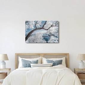 A víz mellett egy havas fa képe (90x60 cm)