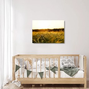 Harmatos fű képe (üvegen) (70x50 cm)
