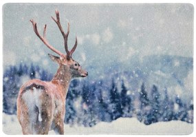 Karácsonyi lábtörlő WILD IN WHITE 38x58 cm - több változatban Változat: Medve