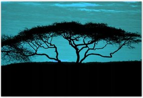Poszterek 155x105 Akác a szavannán