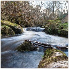 Poszterek 140x140 Okos hegyi folyó