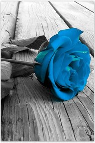 Poszterek 80x120 Türkiz rózsa a deszkákon