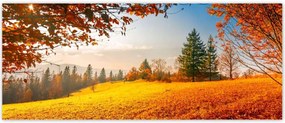 Fotótapéták 250x104 Őszi táj