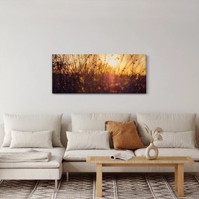 A mező képe naplementekor (120x50 cm)