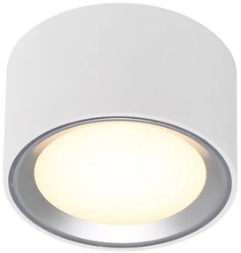 Nordlux - LED Dimmelhető mennyezeti lámpa FALLON LED/5,5W/230V