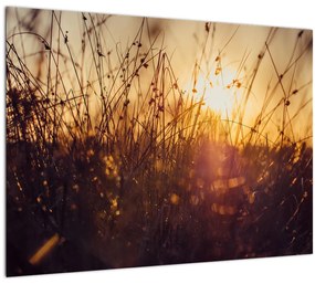 A mező képe naplementekor (üvegen) (70x50 cm)
