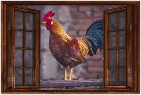 Poszterek 60x40 Kakas Egy igazi harcos