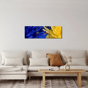 Kép - virág részlet (órával) (90x30 cm)