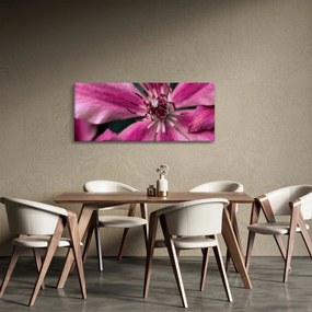 Rózsaszín flamingóvirág képe (120x50 cm)