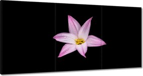 Vászonkép 180x90 Virágok