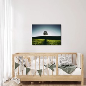 Természet kép - fa (70x50 cm)