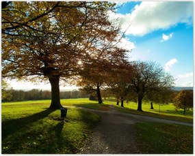 Poszterek 50x40 Őszi tájkép
