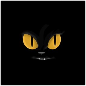 Poszterek 30x30 Cica Cicák