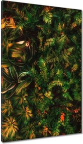 Vászonkép 80x120 Trópusi levelek Levelek