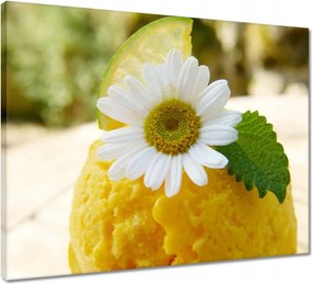 Vászonkép 50x40 Gyümölcsös sárgabarack fagylalt