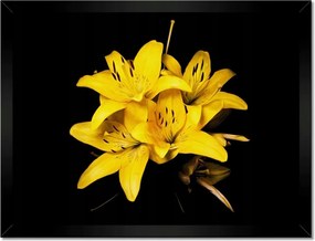 Poszterek keretben 40x30 Sárga liliom csokor