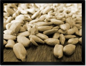 Poszter keretben 40x30 Hántolt napraforgó