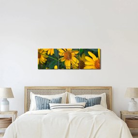 Sárga virágok képe (órával) (90x30 cm)