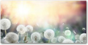 Konyhai panel Pitypang mező 140x70 cm Ragasztó