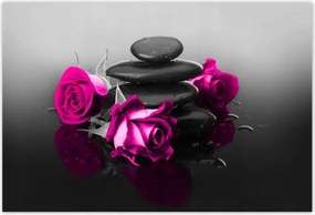 Poszterek 155x105 Rózsaszín rózsa Spa Wellness