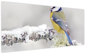 Kép - Kékvércse az erdőben (120x50 cm)