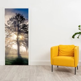 Fotótapéta ajtóra - Fa a ködben (95x205cm)