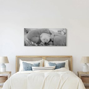 Kép - Jegesmedvék, fekete-fehér (120x50 cm)
