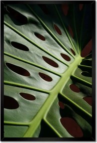 Poszter keretben 40x60 Mosnter levelek lyukas