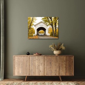 Híd képe Oregonban (70x50 cm)