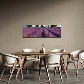 Kép - Levendula mező és hegyek (órával) (90x30 cm)