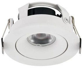 Lonza LED