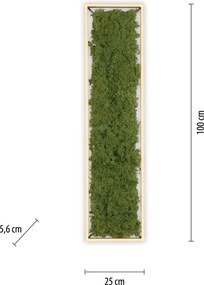Paul Neuhaus modern skandináv mennyezeti lámpa green knut zöld pln15623-66
